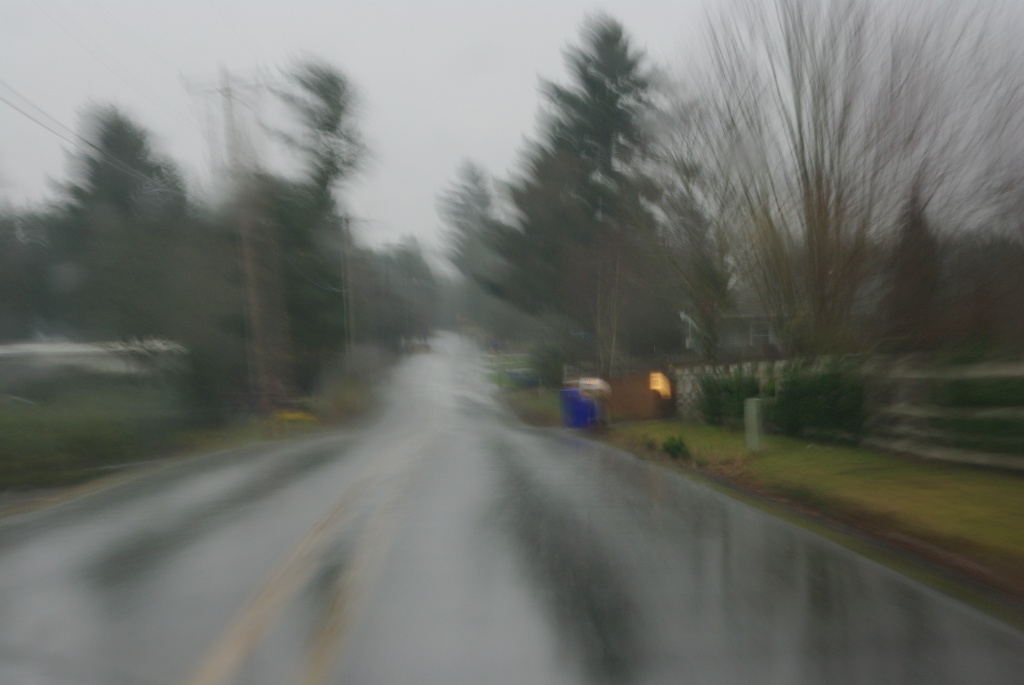 rainy blur by vickisfotos