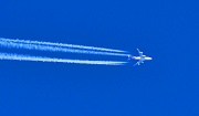 26th Jan 2012 - Plane view