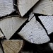 16.1.12 wood pile by stoat