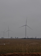 27th Jan 2012 - Tilting at Windmills