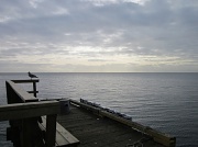 27th Jan 2012 - View From The Pier