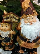 27th Jan 2012 - Gnome For You