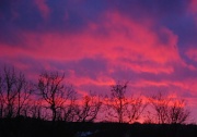 27th Jan 2012 - Sunset