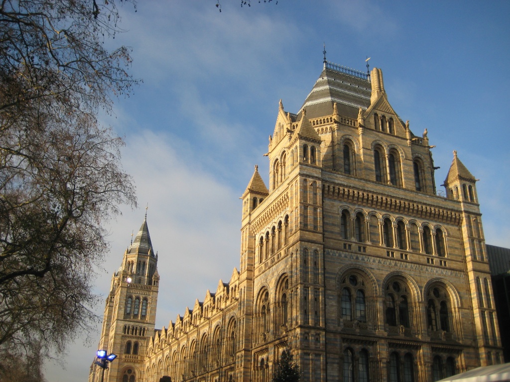 Natural History Museum, London  22.12.11 by filsie65