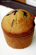 28th Jan 2012 - Blueberry Muffin