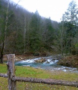 28th Jan 2012 - Stony Creek in Winter