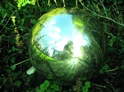 28th Jan 2012 - Globe in the Garden