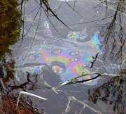 28th Jan 2012 - Oil and Water