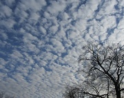 28th Jan 2012 - Interesting Clouds