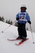 28th Jan 2012 - Ski racer