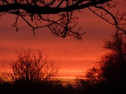 29th Jan 2012 - Morning Sky