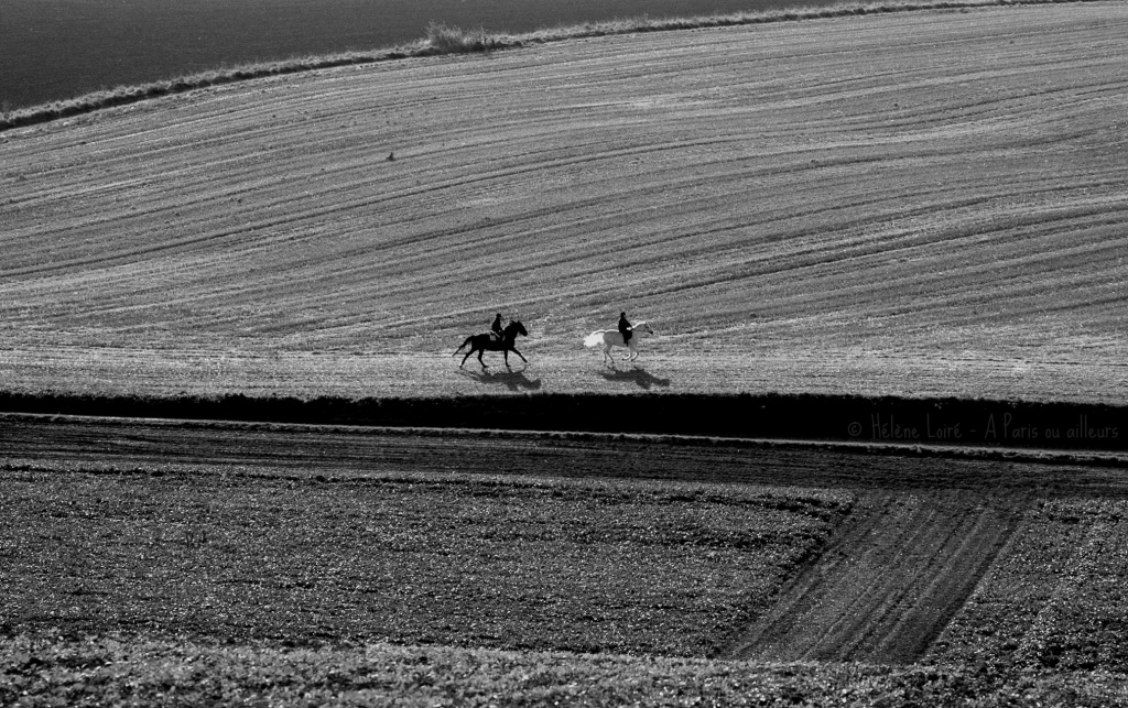 Gallop by parisouailleurs