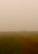 29th Jan 2012 - Pea-Souper Over The Cabbages
