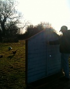 15th Jan 2012 - Chicken Run