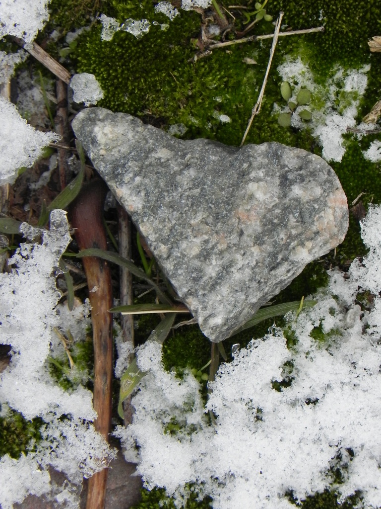 Rock Moss Snow by edorreandresen