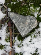 29th Jan 2012 - Rock Moss Snow