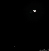 30th Jan 2012 - Moon