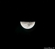 29th Jan 2012 - Half Moon