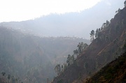 31st Jan 2012 - Azad Kashmir, about 8km from the line of control