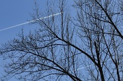 30th Jan 2012 - Plane Trails