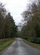 31st Jan 2012 - Country lane