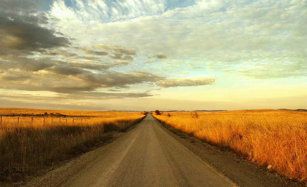 ...land of sweeping plains by ltodd