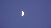31st Jan 2012 - Paper Moon