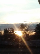 31st Jan 2012 - Good Morning Sunshine
