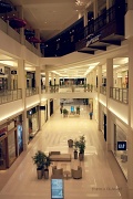 31st Jan 2012 - mall of america....