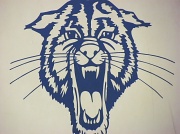 30th Jan 2012 - Southwestern Wildcats