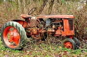 30th Jan 2012 - Well Used Tractor