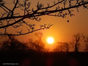 1st Feb 2012 - First sunrise in February