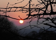 1st Feb 2012 - Early to rise. 