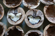 1st Feb 2012 - сердечные орехи