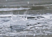 1st Feb 2012 - Water Crown?