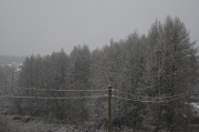 10th Dec 2011 - снежное