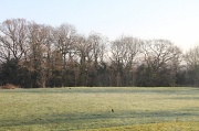 1st Feb 2012 - Frosty Morning