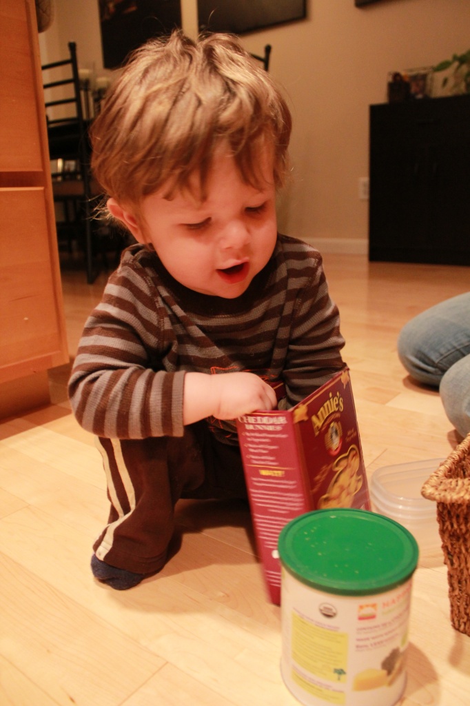 Annie's Cheddar Bunnies ARE MINE! by jtsanto