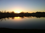 1st Feb 2012 - on golden pond