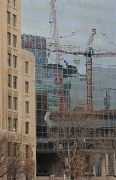 1st Feb 2012 - The Red Crane