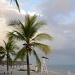 Panama beach by dora