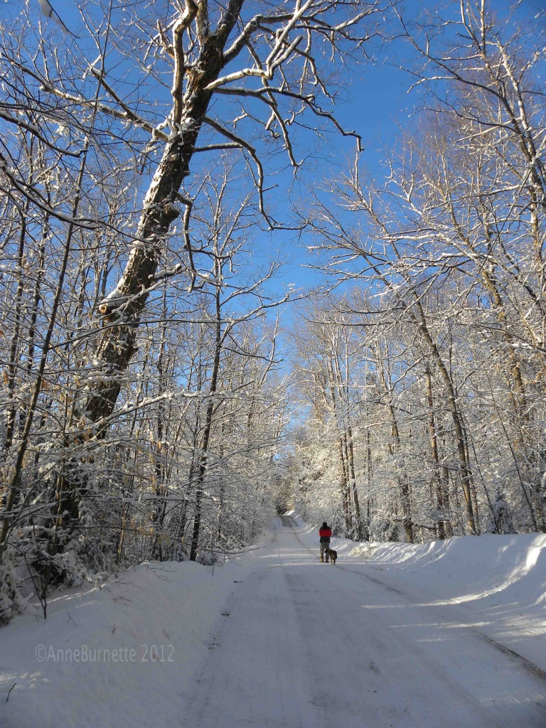 The Winter Walk by sunnygreenwood