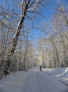 2nd Feb 2012 - The Winter Walk