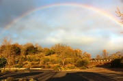 26th Jan 2012 - Unexpected Rainbow