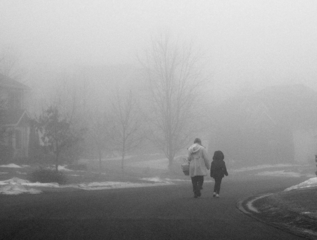Foggy Morning by dakotakid35