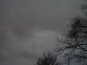 2nd Feb 2012 - Cloudy