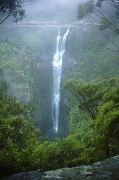 1st Feb 2012 - Carrington Falls II