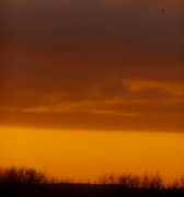 3rd Feb 2012 - After a sunset 