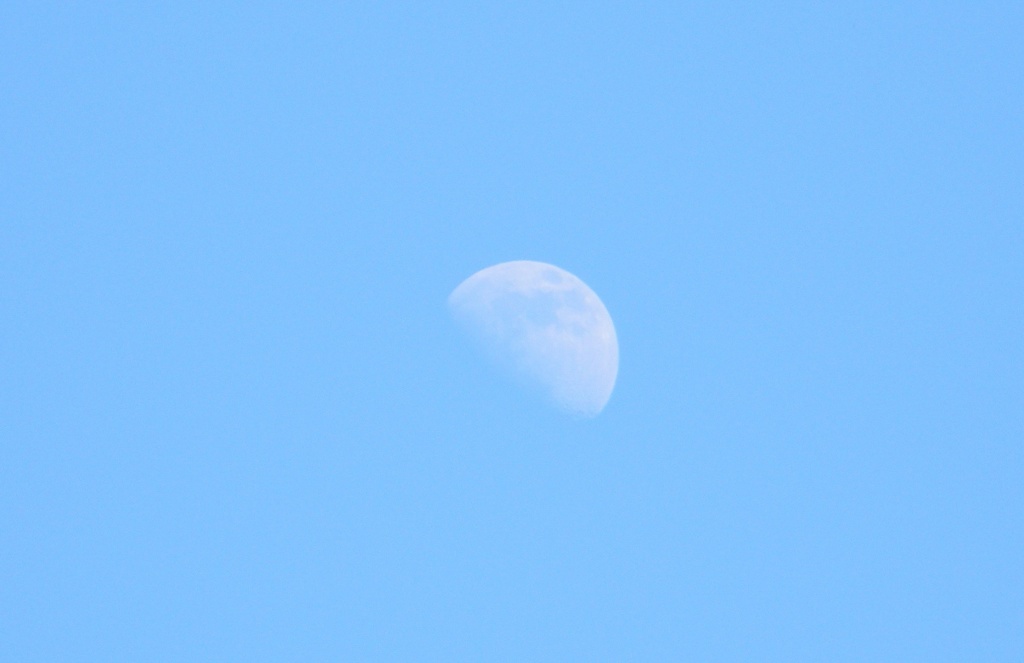 Moon in Blue Sky 2.1.12 by sfeldphotos