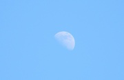 1st Feb 2012 - Moon in Blue Sky 2.1.12